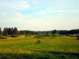 Das Hochmoor "Derscher Geschwämm" am Stegskopf.