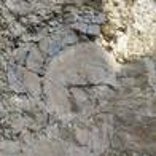 Felswand am Maudener Backes auch Geotop Kleine Falte bekannt, das den Aufbau des geologischen Untergrundes im Rheinischen Schiefergebirge zeigt.