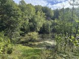 Ein kleiner See, der sich in einem alten Steinbruch gebildet hat.