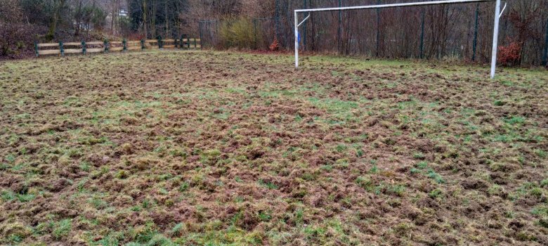 Sportplatz Emmerzhausen Der Rasen ist von Wildschweinen aufgewühlt worden. Im Hintergrund ist ein Fußballtor.