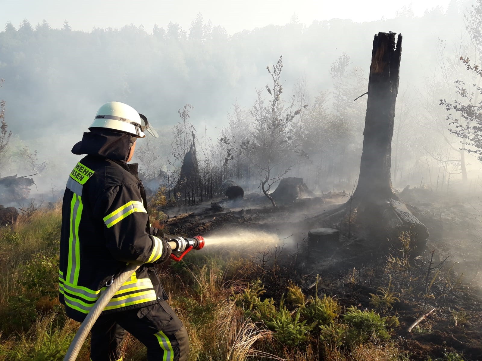 Hier sehen Sie einen Feuerwehrmann mit Löschschlauch beim Löschen eines Waldbrandes.