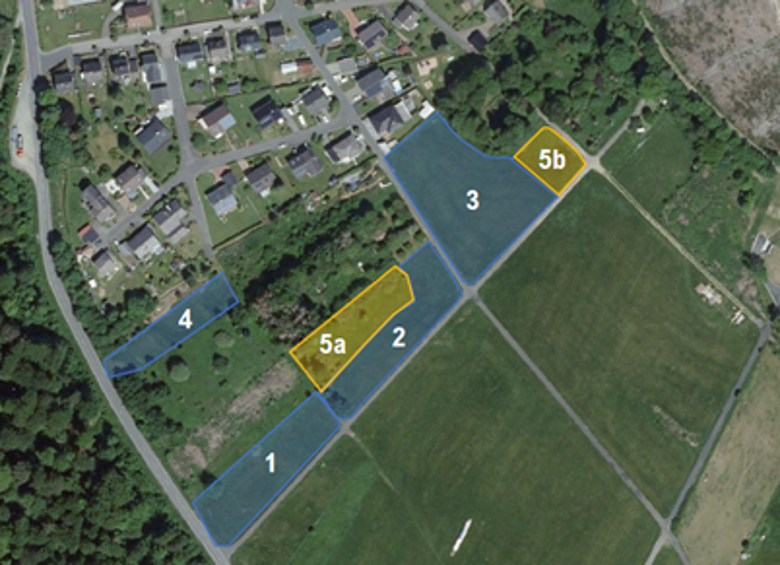 Hier sehen Sie eine Flurkarte mit der Biotopkartierung, die blau markierten Bereiche mit dem „Erhaltungszustand A“ des Lebensraums 6510 - Magere Flachland-Mähwiese bewertet wurden. Dies bedeutet, dass es sich um sehr hochwertige Flächen handelt, für die – nach Rücksprache mit der Unteren Naturschutzbehörde – grundsätzlich keine Ausnahmegenehmigung erteilt wird. Auch bei den gelb markierten Flächen handelt es sich um gesetzlich geschützte Biotopflächen. Daher ist auch für diese Bereiche die Ausstellung einer Ausnahmegenehmigung nur schwer in Aussicht zu stellen.