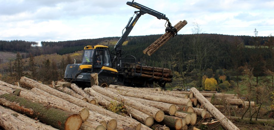 Hier sehen Sie einen Harvester bei der Holzernte auf dem Stirnskopf bei Emmerzhausen.