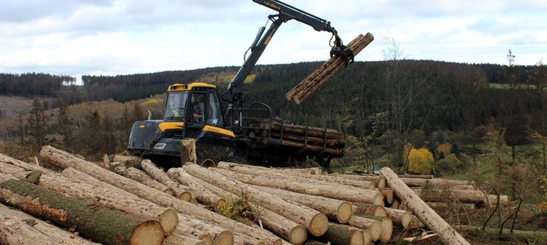 Hier sehen Sie einen Harvester bei der Holzernte auf dem Stirnskopf bei Emmerzhausen.
