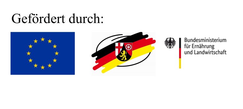 Hier sehen Sie die Logos der beteiligten Förderinstitutionen für den Daadetal-Radweg. Einmal die Flagge für die europäische Union, das Wappen des Landes Rheinland-Pfalz und das Logo vom Bundesministerium für Landwirtschaft und Ernährung.