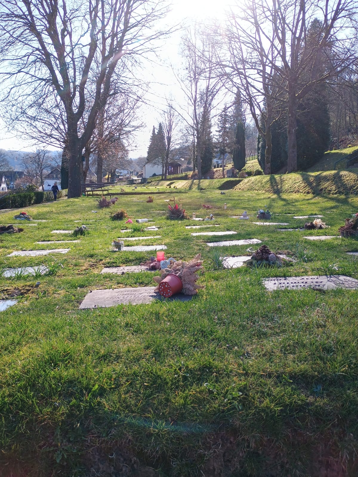 Hier sehen Sie Wiesengräber auf dem Friedhof in Daaden. Auf denen noch Grabschmuck liegt.