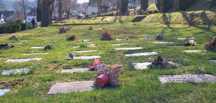 Hier sehen Sie Wiesengräber auf dem Friedhof in Daaden. Auf denen noch Grabschmuck liegt.