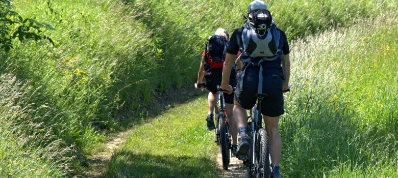 Hier sehen Sie zwei Fahrradfahrer auf einem Feldweg fahren.