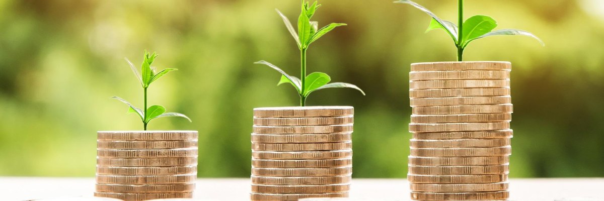 Hier sehen Sie drei unterschiedlich hohe Stapel aus Geldmünzen hinter denen ein junger Keimling wächst