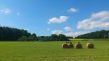 Heuballen Hier sehen Sie Heuballen auf einem Feld liegen.